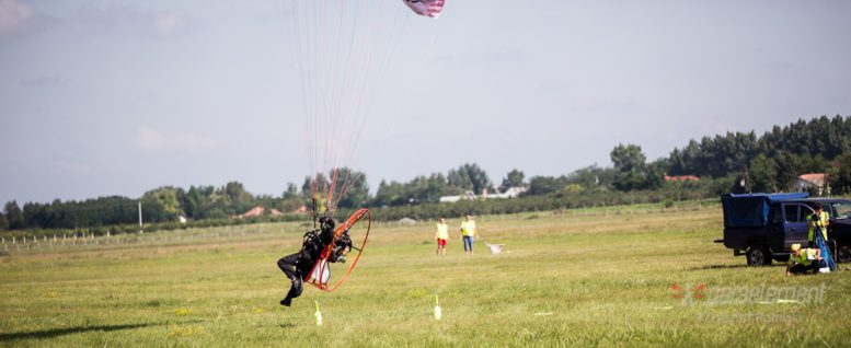 Paraelement thor in fly