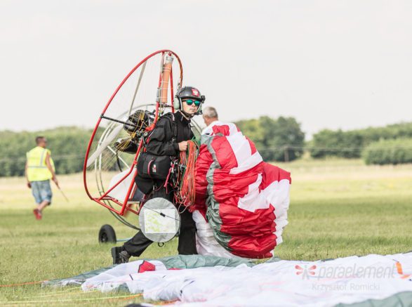 Paraelement thor in fly