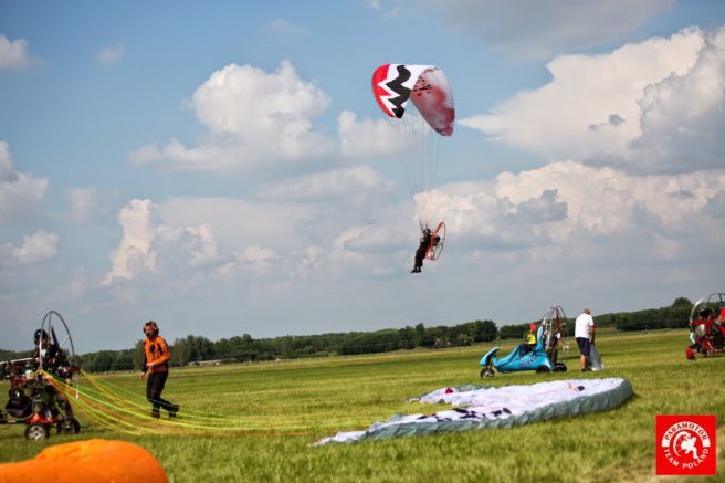 Paraelement thor in fly