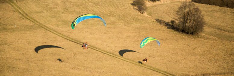 liwiec snake xx polini thor