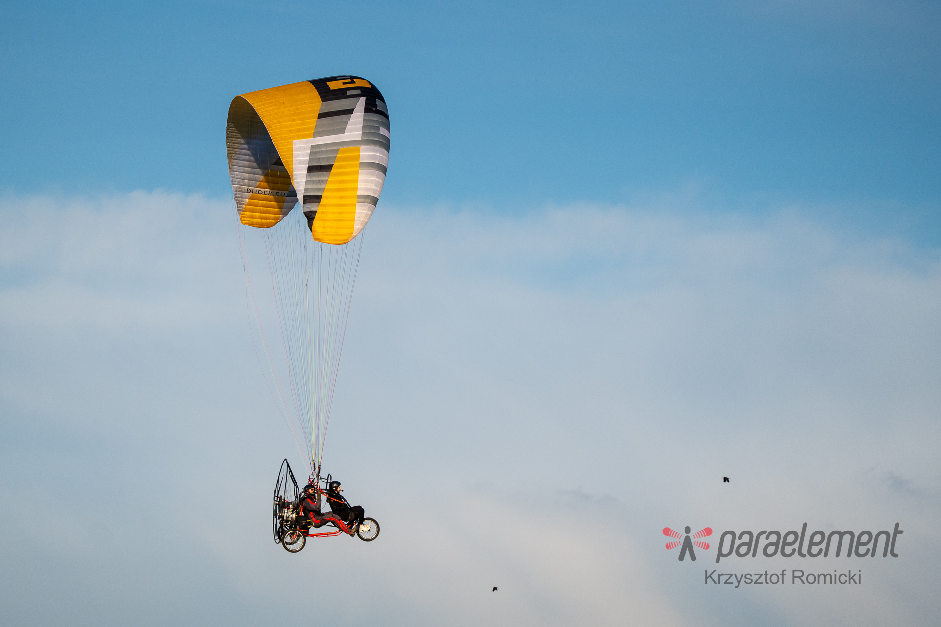 Dudek Boson - następca Hadrona Cabrio - szybki i nośny tandem - dostępny w dwóch rozmiarach - obrazek 7